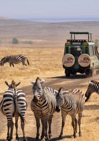 kruger national park