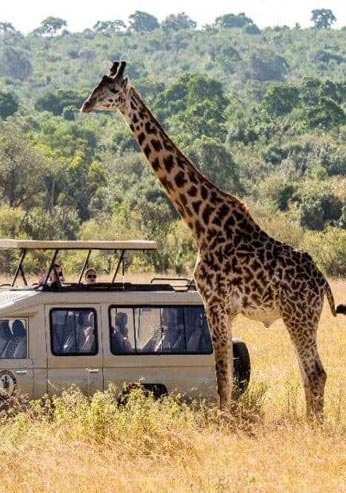 maasai mara national park
