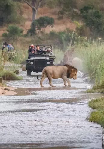 serengeti national park